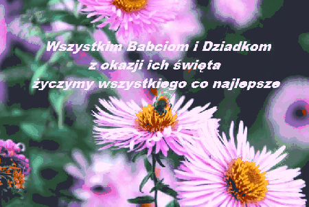 Kwiaty dla Babci i Dziadka
